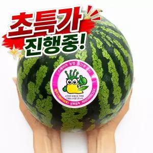 고당도 스테비아 수박 5kg 이상 꿀수박 여름 제철 특가