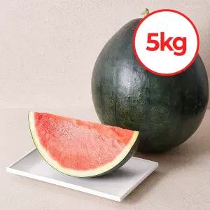 백년본가 여름 제철 프리미엄 흑수박 5kg