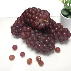 국내산 델라웨어 포도 400g(200gx2팩) 씨없고 알이작아 탱글한 식감에 풍부한 과즙