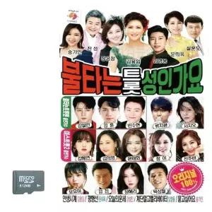 불타는 트롯 가요 미우 SD 노래 음악USB 트로트USB