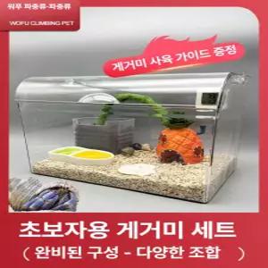 seno 소라게사육장 소라게키우기 소라게껍질