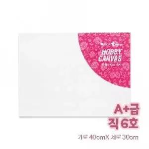 [셀러에이드]캔버스 액자 유화 면천 미술 무지 아크릴 40cm 6호 30cm