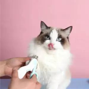 D 강아지 고양이 LED 발톱깎이 손톱깎이 발톱깍기