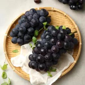 고당도 거봉 포도 특품 500g(1수)