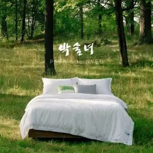 박술녀 최신상 풍기인견 침구 풀세트Q