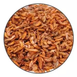 거북이 사료 감마루스 30g 열대어 먹이 건조새우