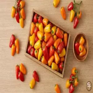 미니파프리카500G4팩 빨강+노랑+주황, 500g, 4개