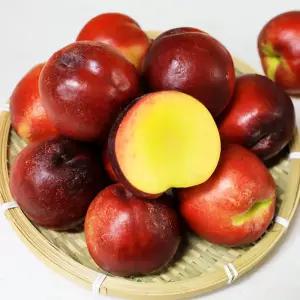 제철 천도복숭아 1kg