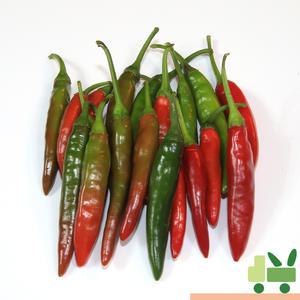 반홍청양 2Kg