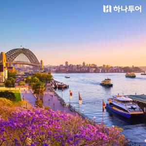 [Live11] 시드니 6,7일 #호주4대특식 #포트스티븐스 #크루즈2회탑승 #블루마운틴 트레킹 #시드니시티투어 #4성급 호텔