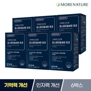 모어네이처 기억력 인지력 포스파티딜세린 징코 6박스/PS 은행잎추출물 두뇌건강 영양제