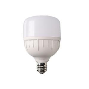비츠온 LED T 벌브램프 50W 주광색 E39