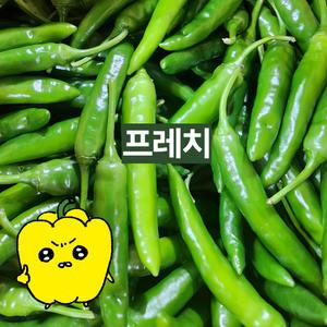 프레치 국내산 청양고추 매운고추 땡초 500g 1kg 3kg