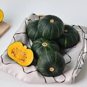[자연맛남]제주직송 미니 밤호박(단호박) 8kg (중품) 보우짱