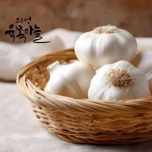 의성 육쪽마늘 반접 한접