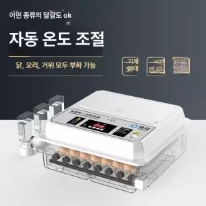 두우둥 부화기만들기 닭산란통 달걀 병아리 재료