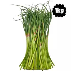 마늘귀신 국산 의성 햇 마늘쫑 1kg / 직접수확 마늘종