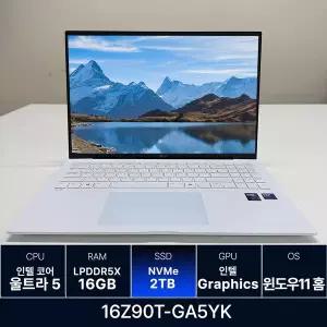 LG전자 LG그램 16Z90T-GA5YK RAM 16GB 2TB 교체