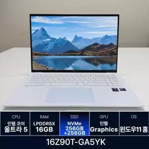 LG전자 LG그램 16Z90T-GA5YK RAM 16GB 256GB + 256GB 추가