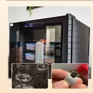 채움도트 도마뱀알부화기 거북이 파충류 부화기