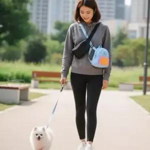 애견 산책용 백팩 하네스 강아지 가방 리드줄 세트 M