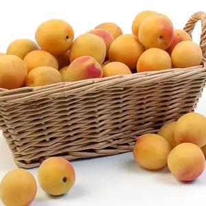 [매실]두레_홍매실(남고) 10kg(대)