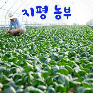 [묽맑 양평]지평농부 모듬쌈 & 샐러드 채소&유러피안샐러드