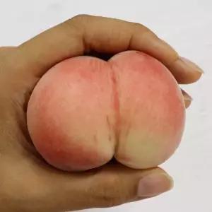 경북 대극천 납작복숭아 가정용 1kg