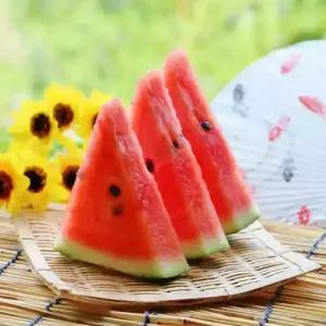 산지발송 하우스 꿀 수박 함안수박