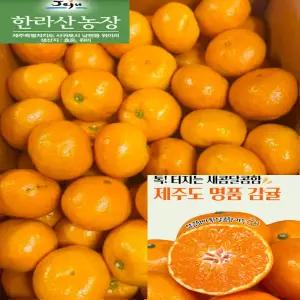 감귤5kg 제주 농장 고당도 감귤 [특가판매] 탱글탱글 꿀브릭스 제주 감귤, 1박스, 5kg