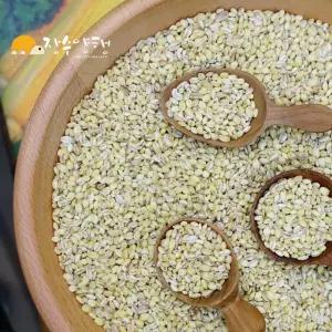 찰보리 2kg 찹쌀보리 보리쌀 국산잡곡 전라북도 군산 2025년산 햇보리 군산 흰찰보리