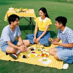 친절한탄씨 WL 별별창고)G 체크무늬 방수 식탁보 캠핑용 돗자리 체크무늬 방수 겸용 다용도