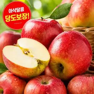 충주사과 부사사과 고당도꿀사과 세척사과 못난이사과 아삭상큼달콤 가정용 선물용 3kg 5kg 10kg