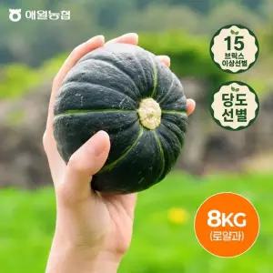 (15brix 이상)제주애월농협 보우짱 햇 미니단호박 8kg