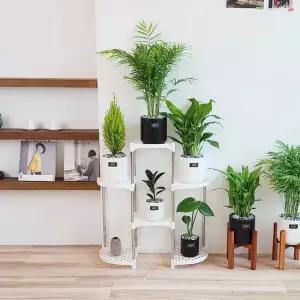 DAMDA 화분정리대 화분 선반 다용도 정리대 6단
