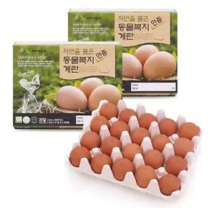 한스팜 자연을품은동물복지란20ea x 2 코스트코 잡화마켓2606