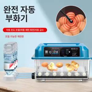스마트 계란부화기 조류 메추리 온도조절 부화 계란
