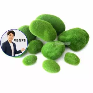 지금 필요한 이끼조경 인조 이끼 모형 가짜 인테리어 비단 조화 장식