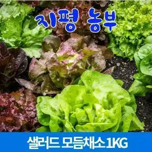 [물맑은 양평]지평농부 샐러드 모듬채소1kg
