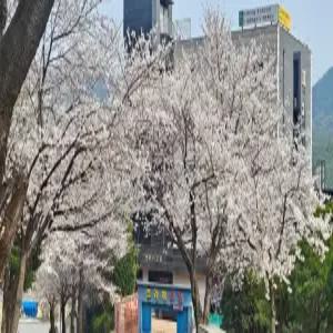 [충남] 동학사 프라하(충남모텔/공주모텔/공주동학사 프라하)