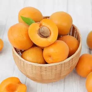 감동 [산지직송]경북 영천 살구 소과 중과 대과 1kg-4kg