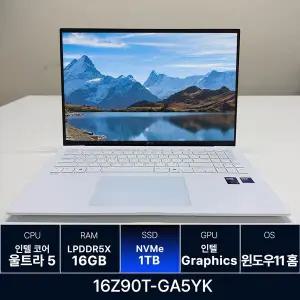 LG전자 LG그램 16Z90T-GA5YK RAM 16GB 1TB 교체