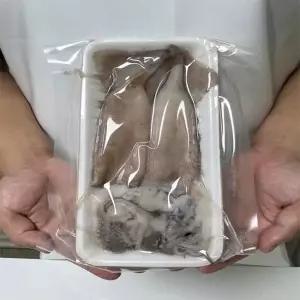 원양산 간편한 냉동 손질 통오징어 2미(500g내외) x 1팩