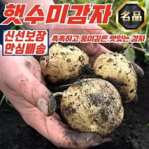 국내산 포슬포슬 햇수미감자 10kg (대)