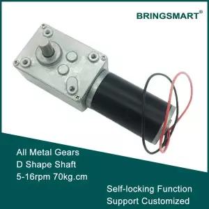 A58SW31ZY 7-470rpm DC 24v 웜 기어드 모터 1.6-70kg.cm 고 토크 D 샤프트 12v 모터 회전 테이블 도어 자