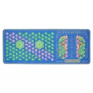 헬스원 웰빙 주방싱크매트 WSM-100A - 발지압매트