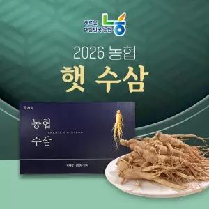 [26년 특등급!] 강화인삼농협 햇수삼 250g*2박스(총500g)