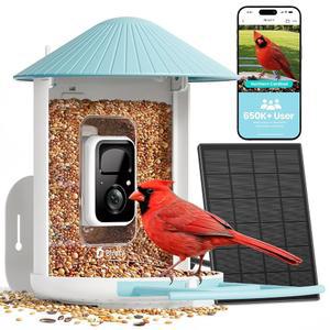 NETVUE BIRDFY 스마트 새 모이통, 2K 및 SUBSCRIPTION) 컬러 스트림 카메라 시야, AI 무료 와일드버드 알림, 캡처 야간 자동 무선 전원, 클라우드 라이브 BY 관찰, HD 태양열 스토리지(AI