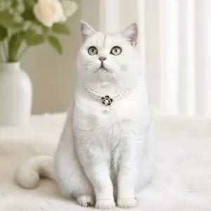 [하프클럽/]반려동물 플라워 펄 목걸이 고양이 강아지 블랙 펫 액세서리
