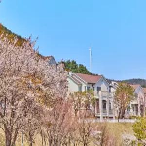 경주 마우나오션리조트(경주호텔/경주추천호텔)